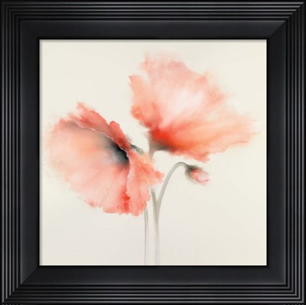 Framed Pink Chiffon II Print