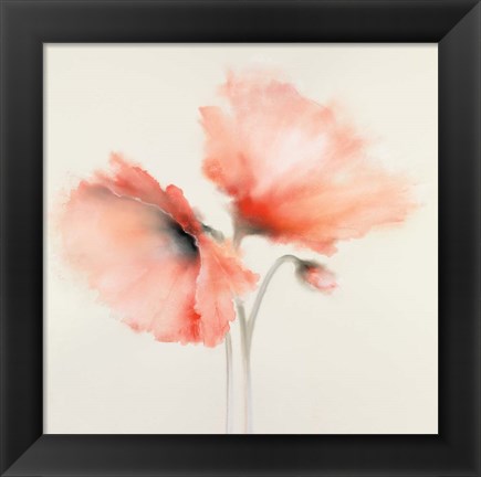 Framed Pink Chiffon II Print