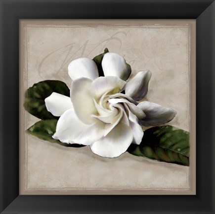 Framed Botanical Gardenia Print