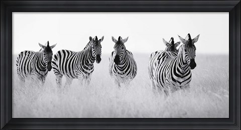Framed Meeting Place Print