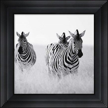 Framed Rendezvous I Print