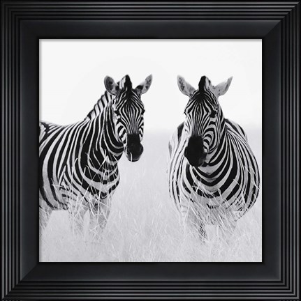 Framed Rendezvous II Print