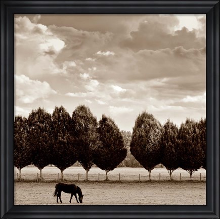 Framed Grazing Print