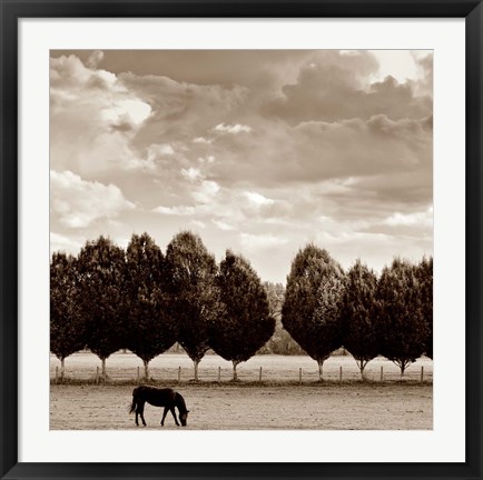 Framed Grazing Print