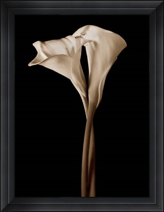 Framed Embrace Print