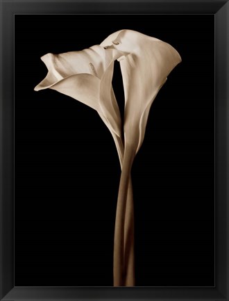Framed Embrace Print