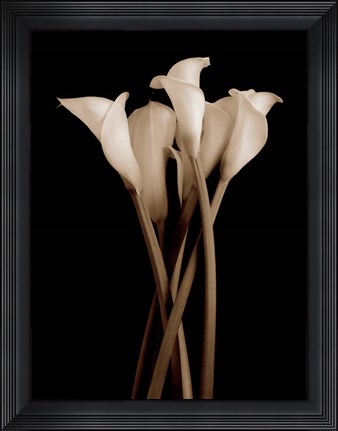 Framed Gathering Print