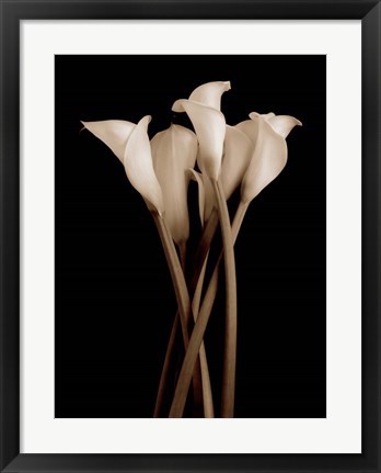 Framed Gathering Print
