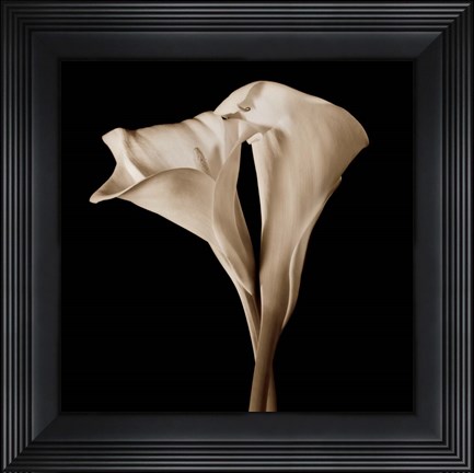 Framed Embrace - close up Print