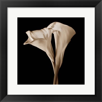Framed Embrace - close up Print