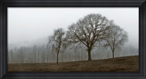 Framed Autumn Fog Print