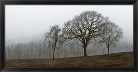 Framed Autumn Fog Print