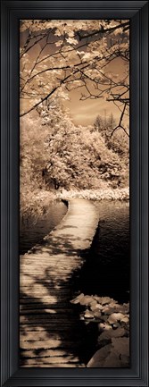 Framed Quiet Stroll II Print