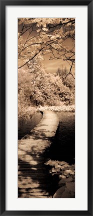 Framed Quiet Stroll II Print