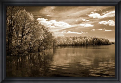 Framed Nature&#39;s Glory Print