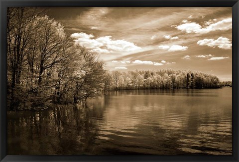 Framed Nature&#39;s Glory Print