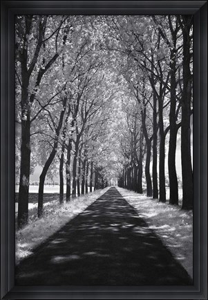 Framed Follow Me Print
