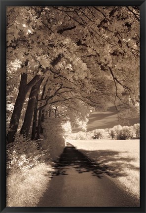 Framed Path Ahead Print