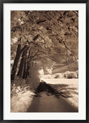 Framed Path Ahead Print