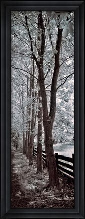 Framed Walk To Remember II Print