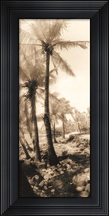 Framed Equatorial Breeze I Print