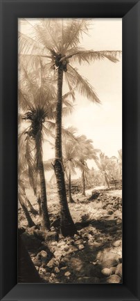 Framed Equatorial Breeze I Print