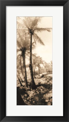 Framed Equatorial Breeze I Print