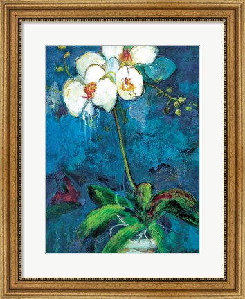 Framed Phalaenopsis I Print