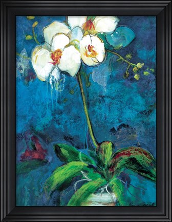Framed Phalaenopsis I Print
