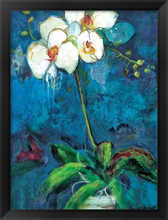 Framed Phalaenopsis I Print