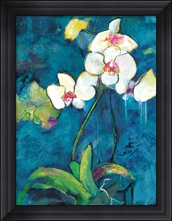 Framed Phalaenopsis II Print