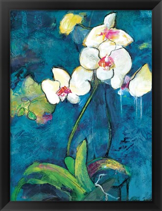 Framed Phalaenopsis II Print