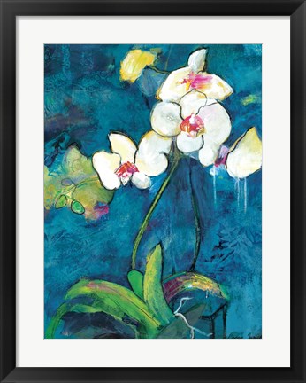 Framed Phalaenopsis II Print