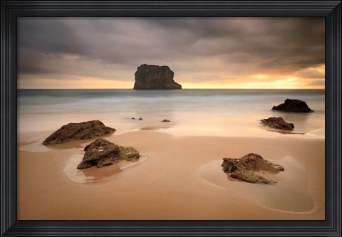 Framed Ballota Print