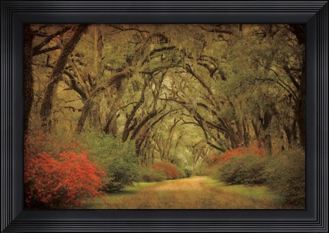 Framed Road Lined With Oaks &amp; Flowers Print
