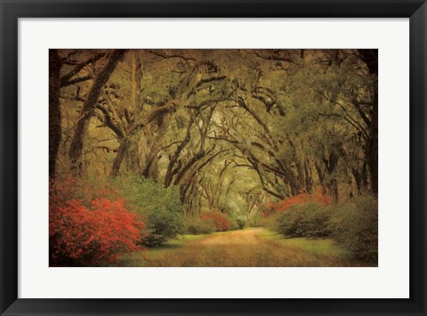 Framed Road Lined With Oaks &amp; Flowers Print