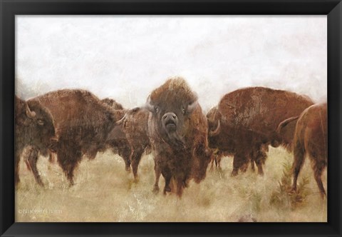 Framed Buffalo Print