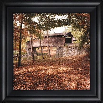 Framed Humpback Fall Print