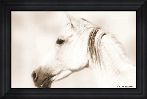 Framed Dash IV Print