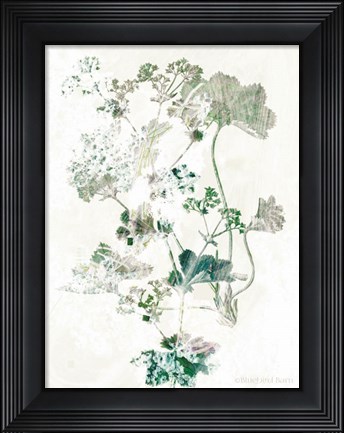Framed Geranium Botanical Print