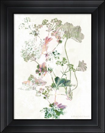 Framed Boho Geranium Botanical Print