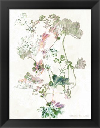 Framed Boho Geranium Botanical Print