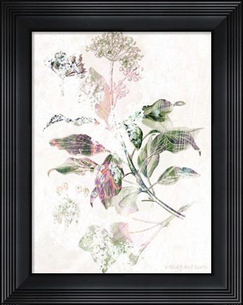 Framed Boho Verbena Botanical Print