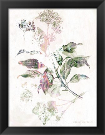 Framed Boho Verbena Botanical Print