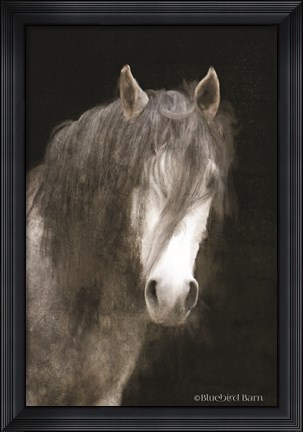 Framed Gypsy Vanner Mystique Print
