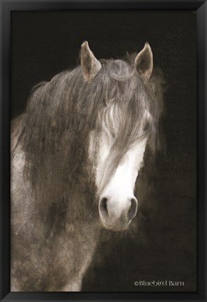 Framed Gypsy Vanner Mystique Print