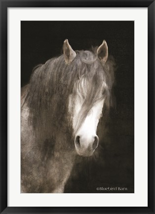 Framed Gypsy Vanner Mystique Print