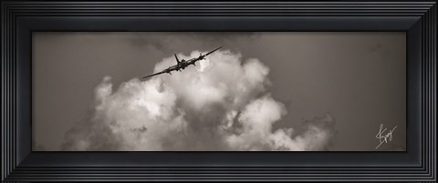 Framed Soaring Print