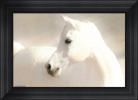 Framed White Arab II Print