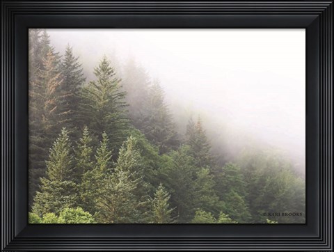 Framed Alaska Green Trees I Print
